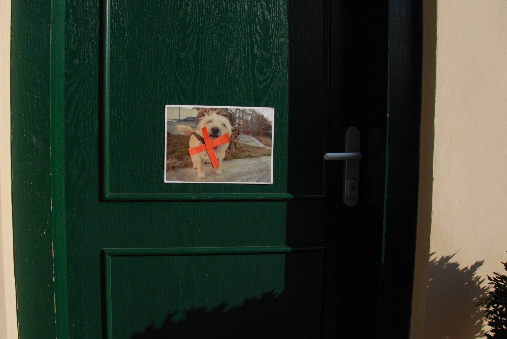 CAL 2012 unor schuzky 58